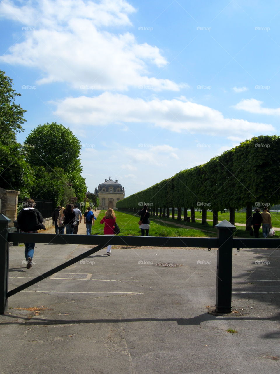 Landscape, Road, Tree, Park, People