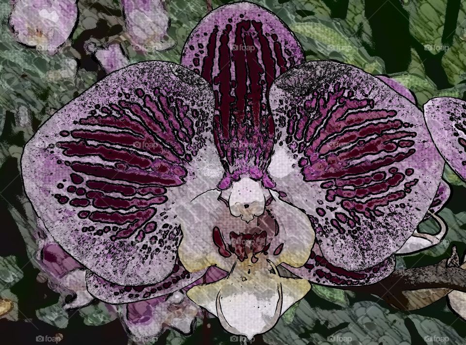 orchid art