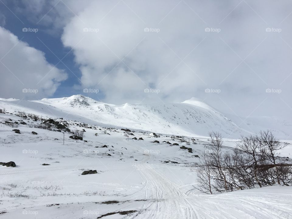 Winter in the mountain 