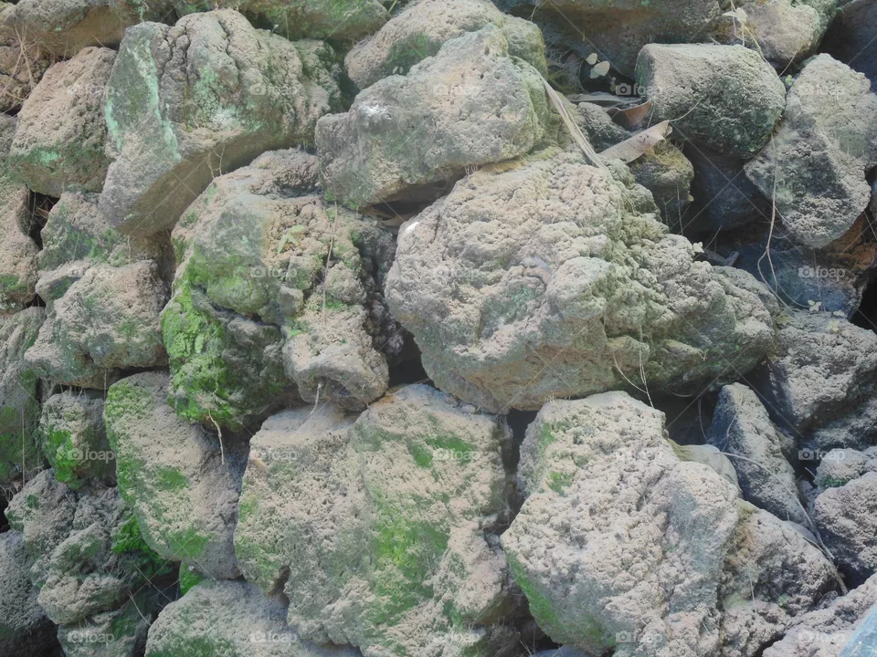 rocas