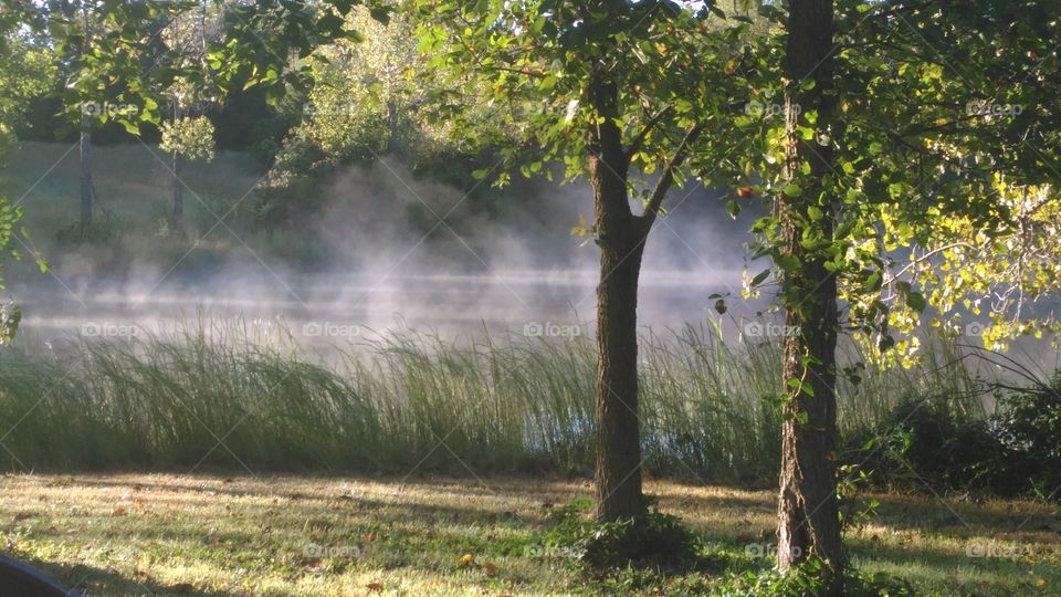 foggy lake