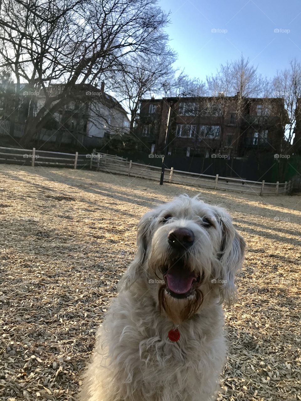 Fun day at the park