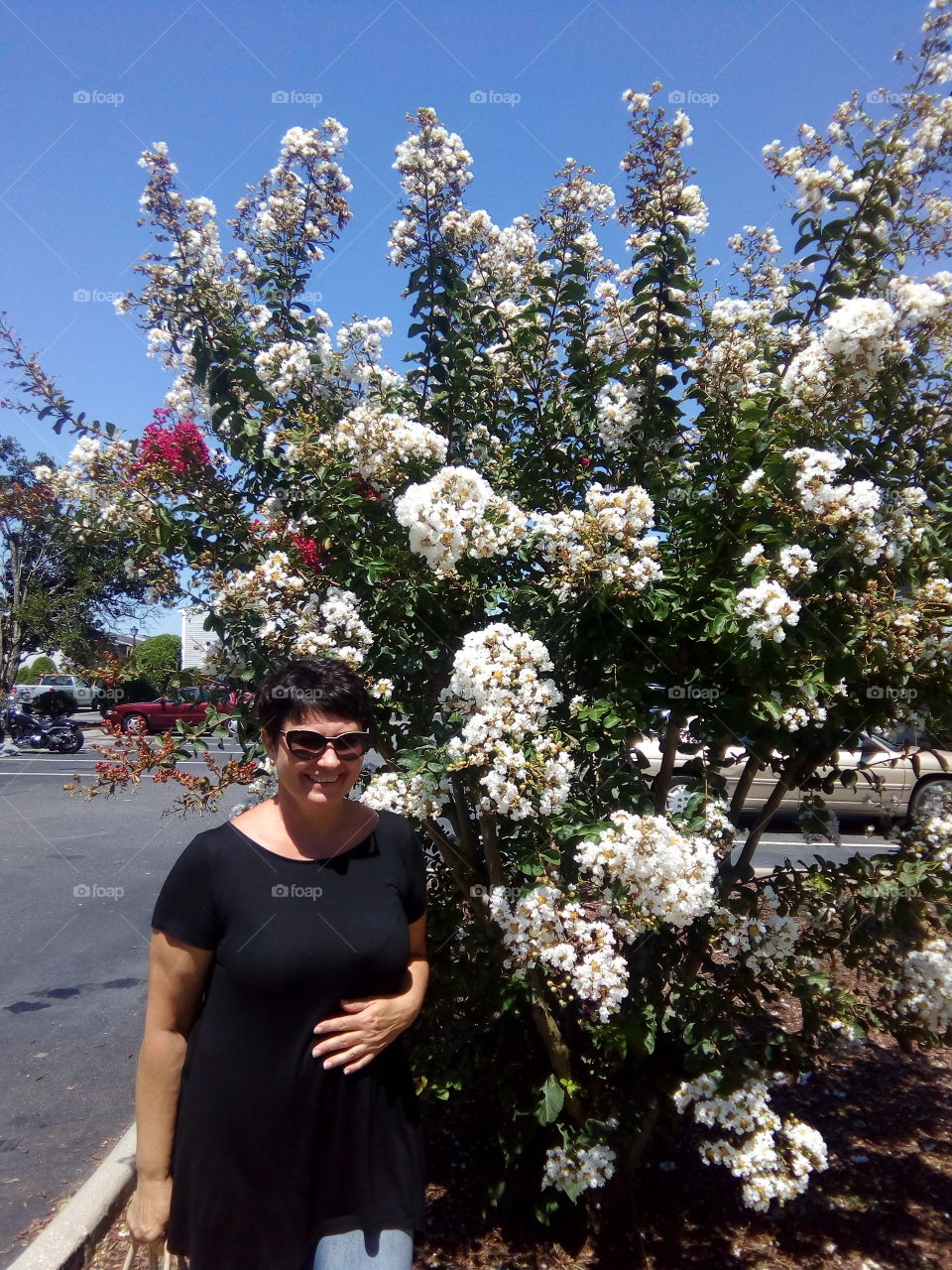 summer flowers are good mood