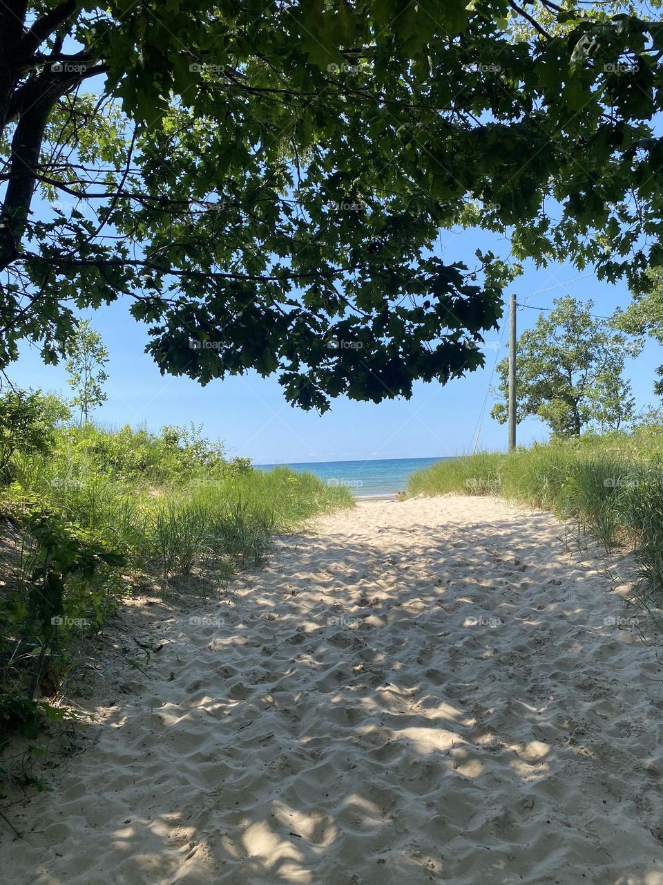 A sandy path leading to a beach, with greenery on both sides and the ocean visible in the background. 