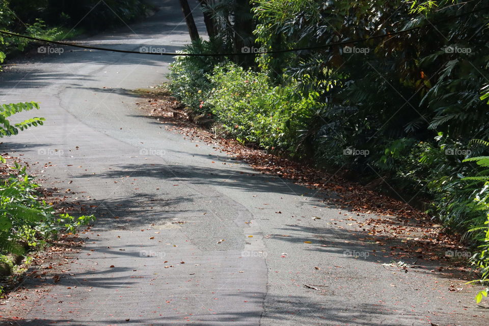 road leads to road. curvy road, skillful drivers