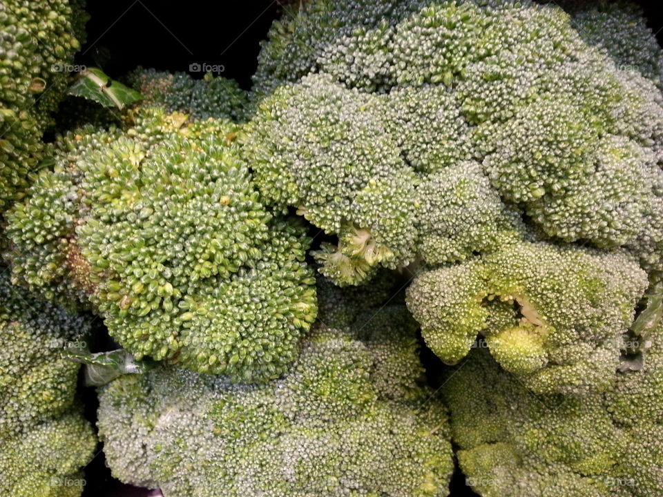 broccoli. vegetable