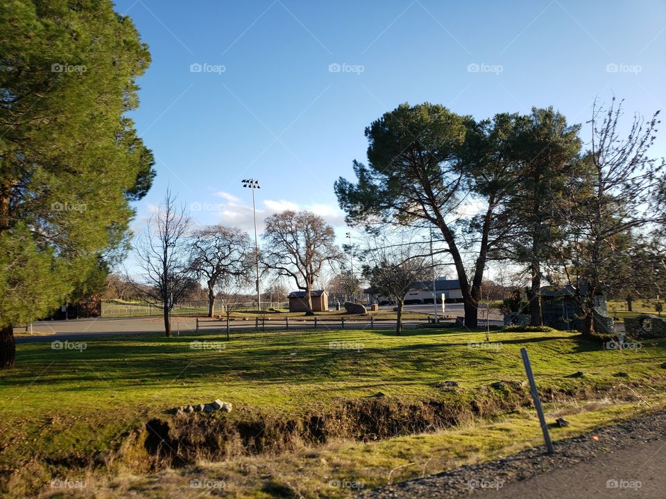 baseball field