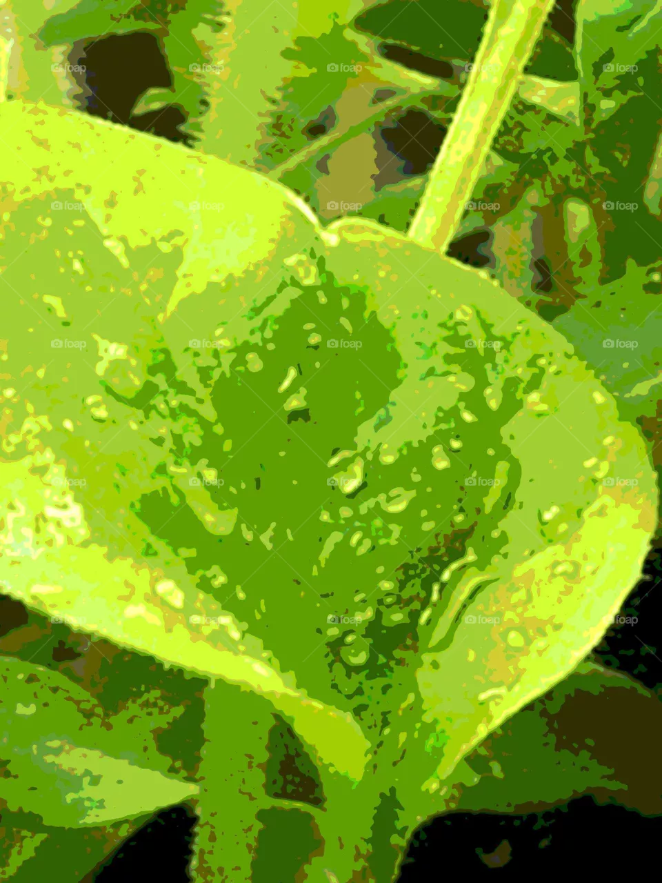 flora