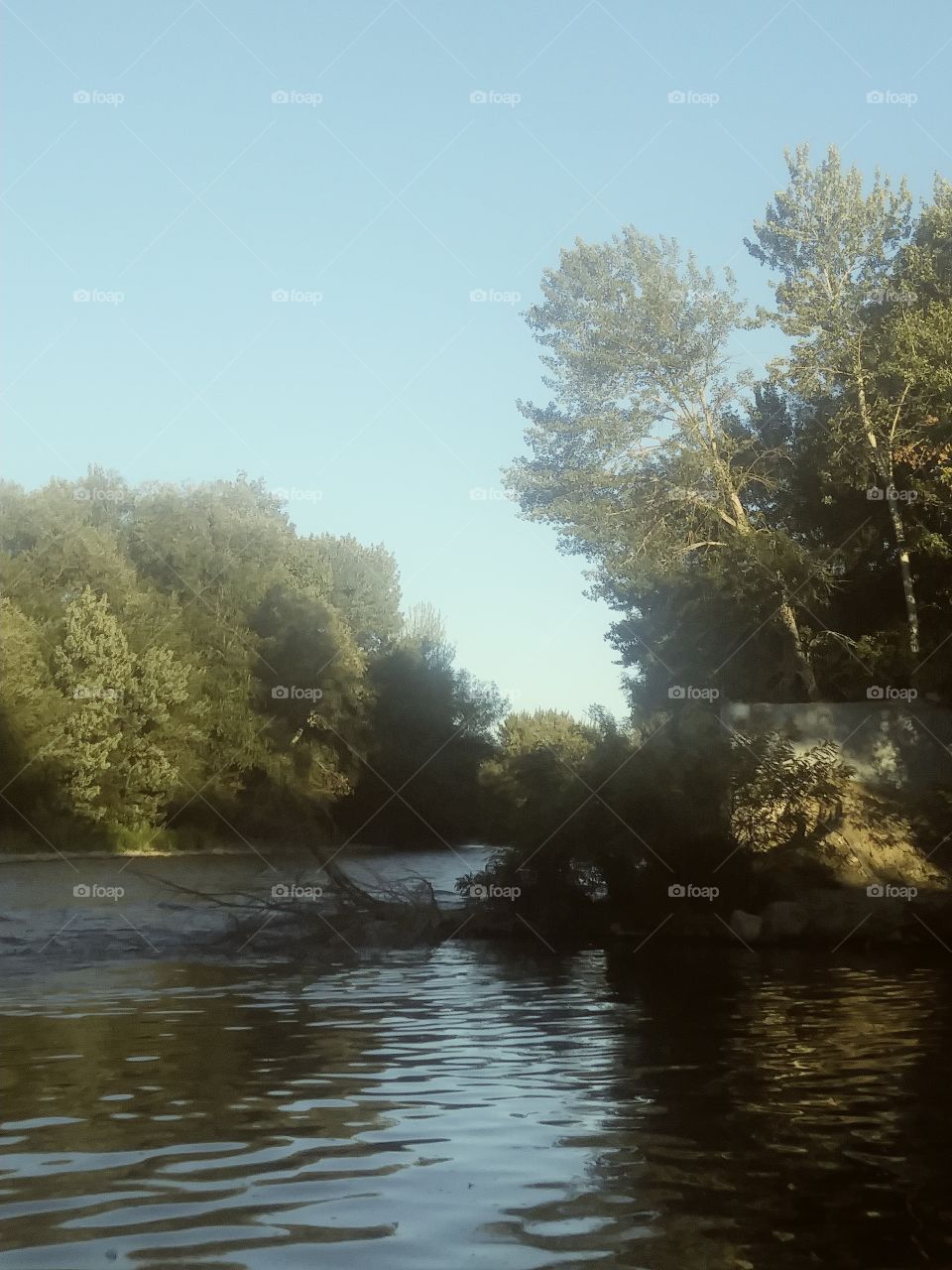 fork in the river