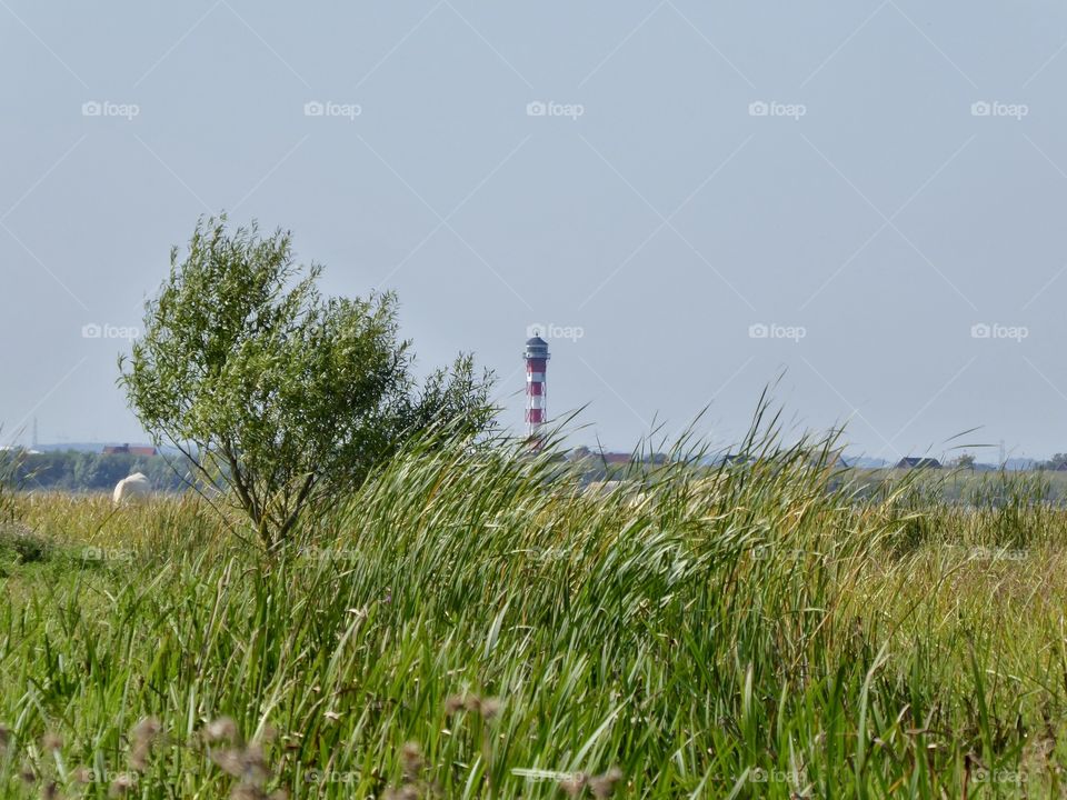 lighthouse /Elbe