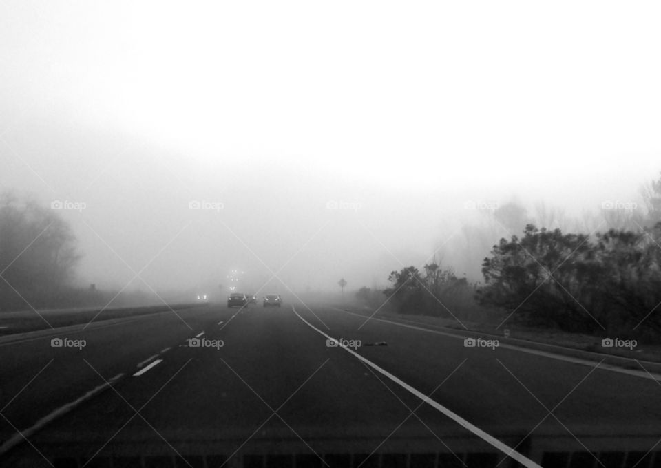 Black and white foggy morning commute