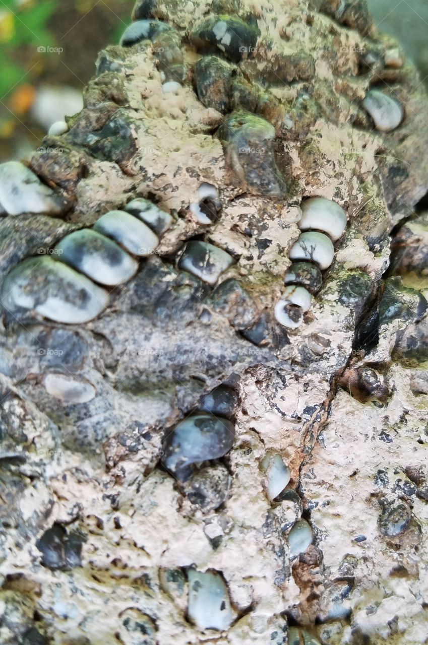 Nature, Desktop, Texture, Stone, Pattern