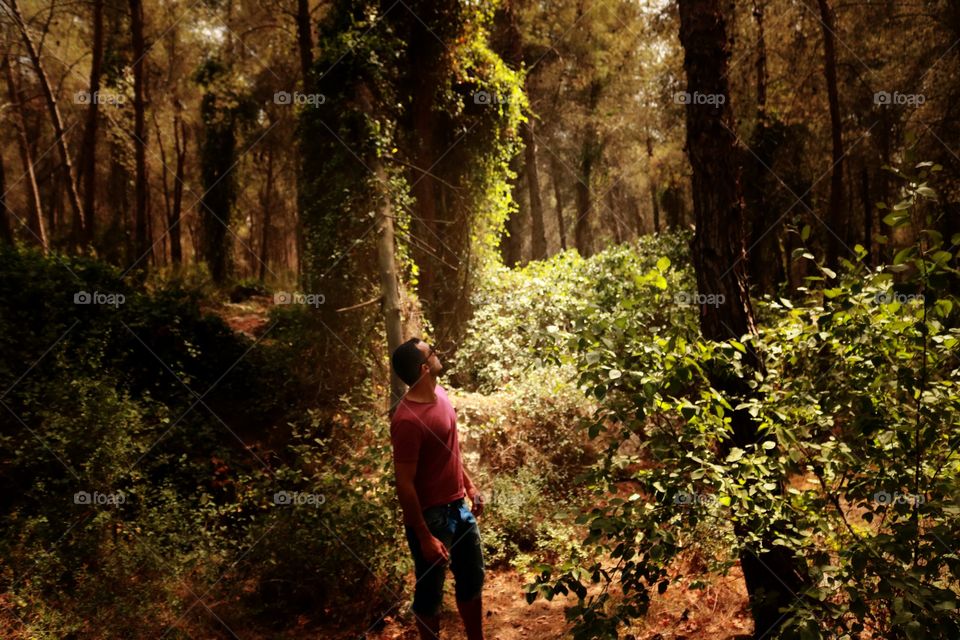 sometimes i look up,to find the light,cause the dark inside me want to disappear