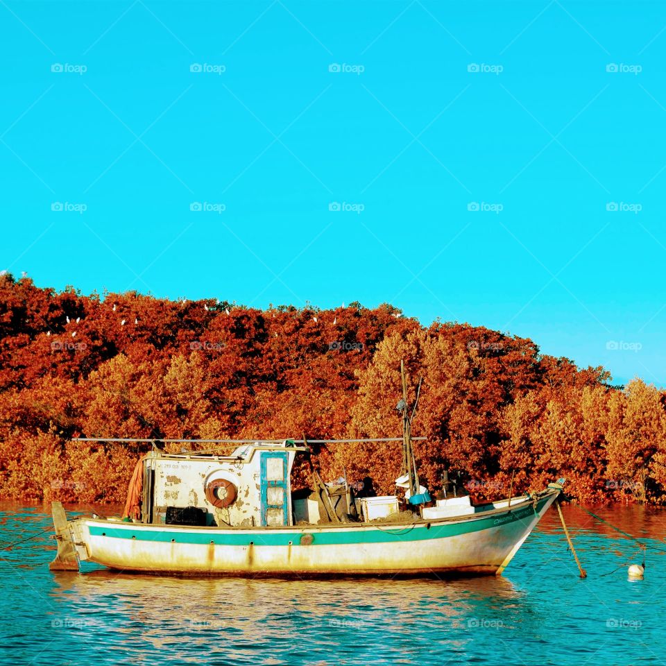 Fishing boat 