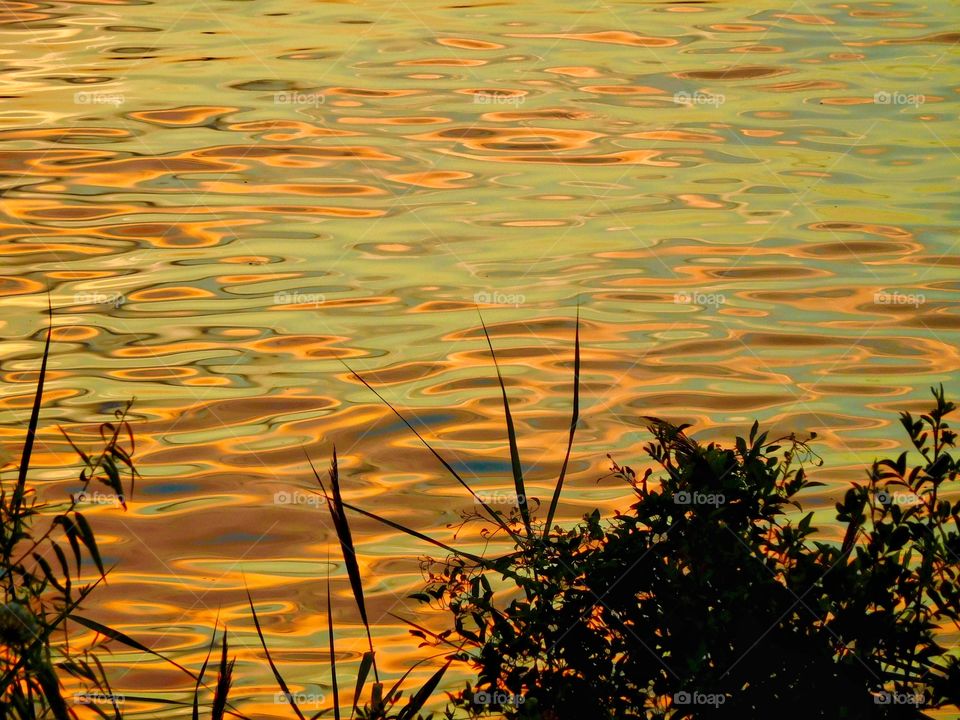 Beautiful sunset on the water. 