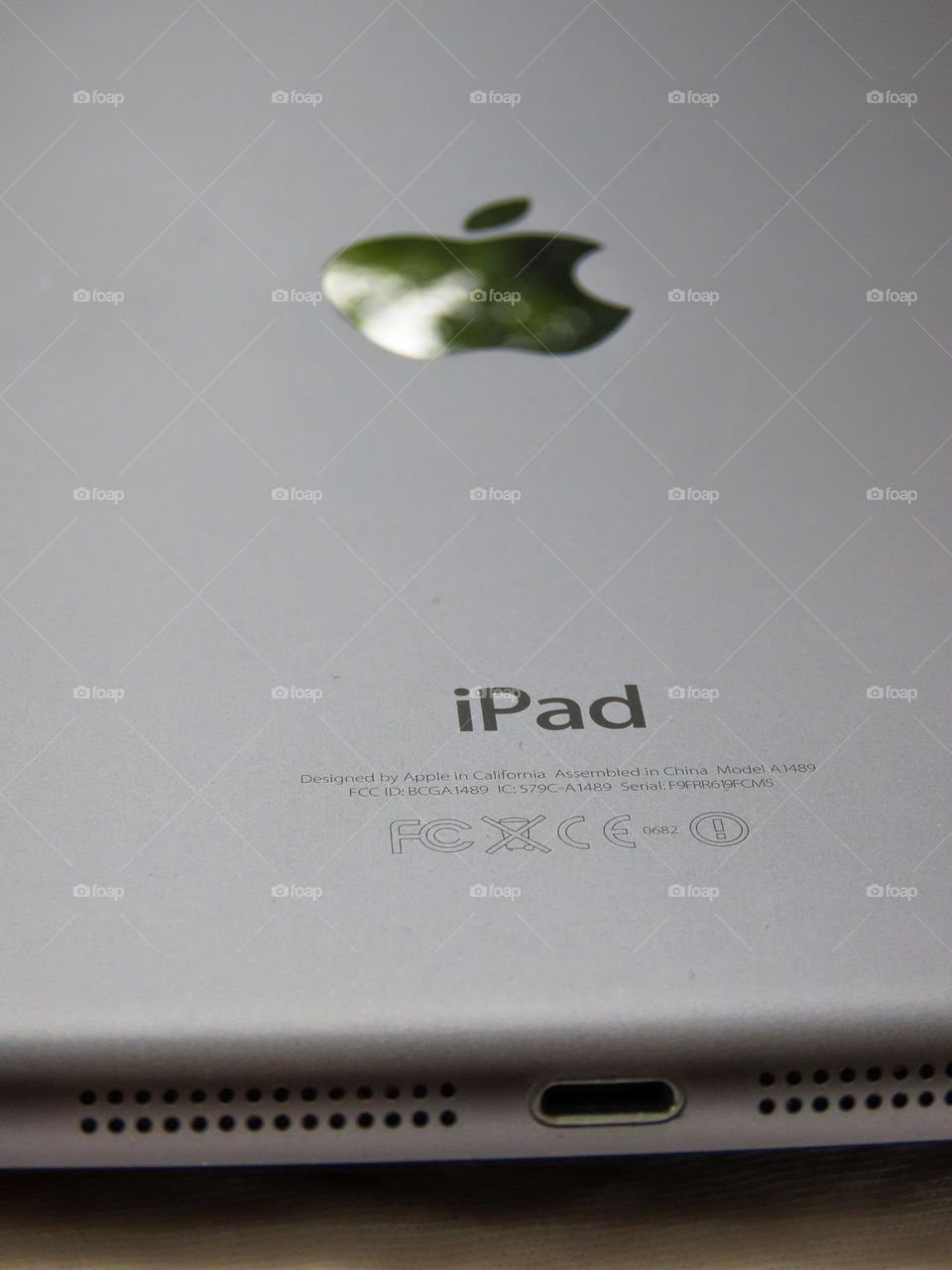 Apple iPad