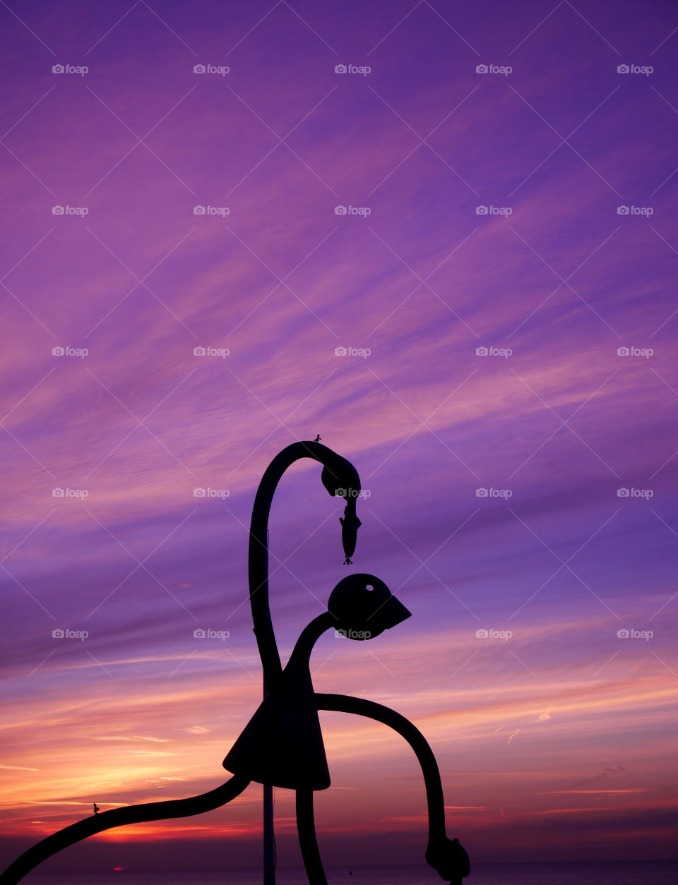 He wont ever eat this fish...