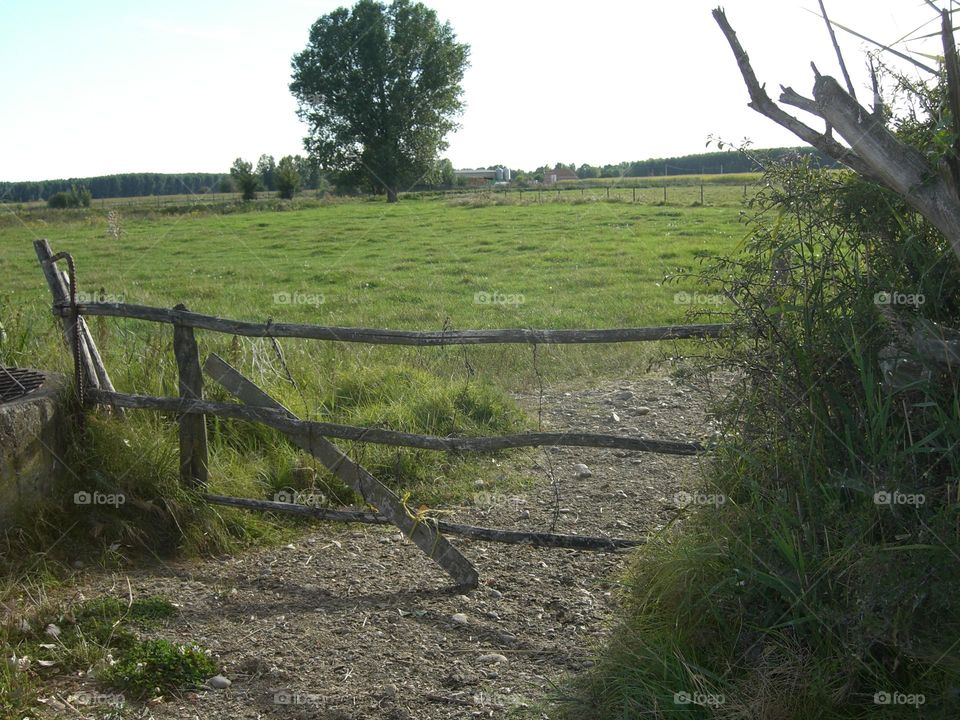 Prado con cerca rustica