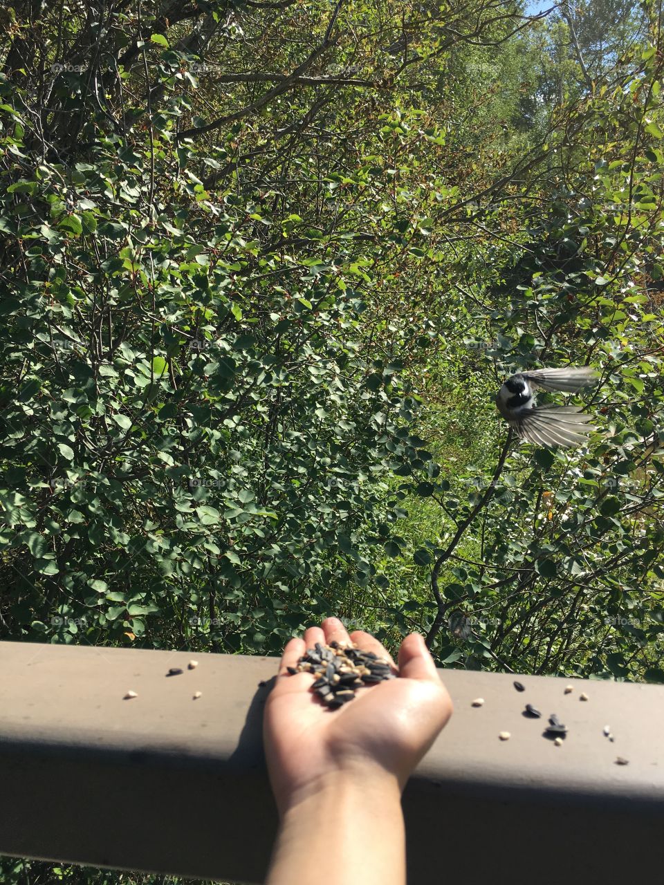 Tree, Outdoors, People, One, Nature