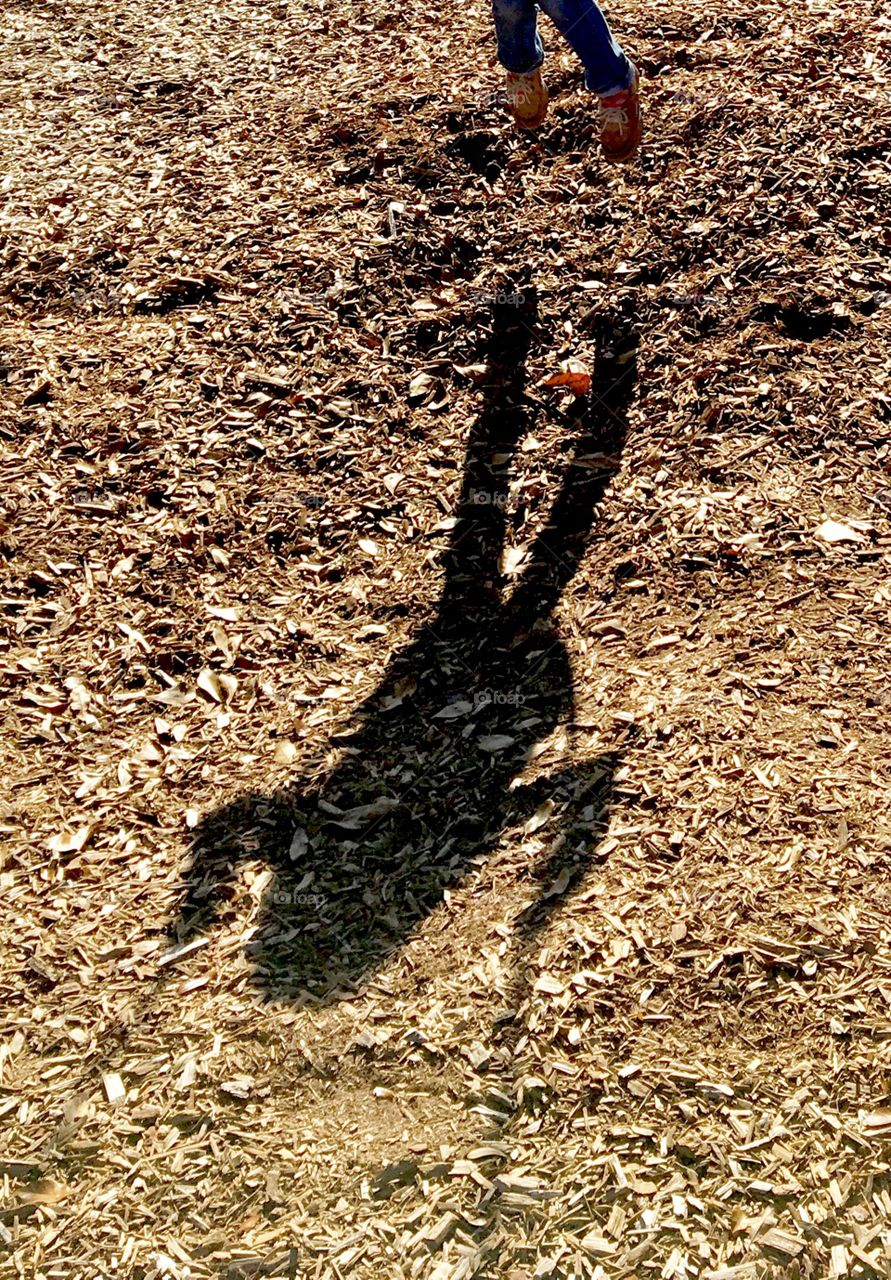 Shadow Swinging 