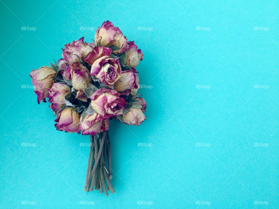 Bouquet of purple mini roses on blue background 