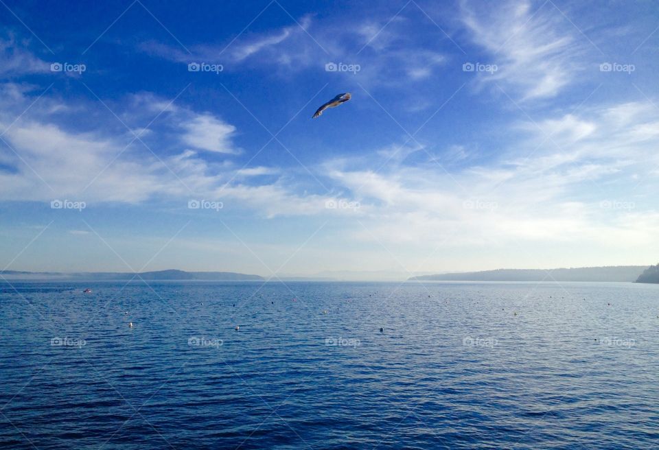 In flight. Puget Sound