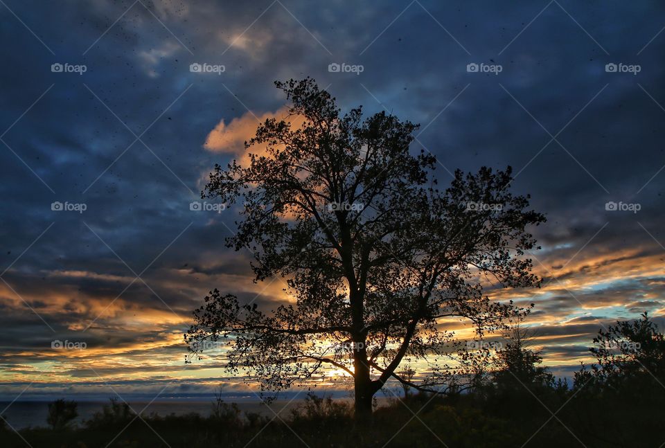 Dramatic sky during sunset