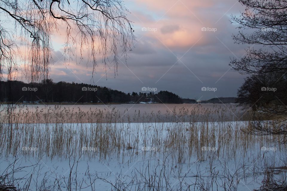 Winter in Stockholm 