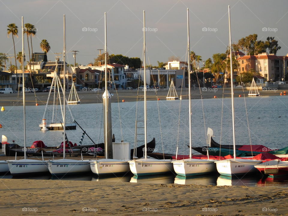 Sailboats, Alamitos Bay,  Long Beach, CA