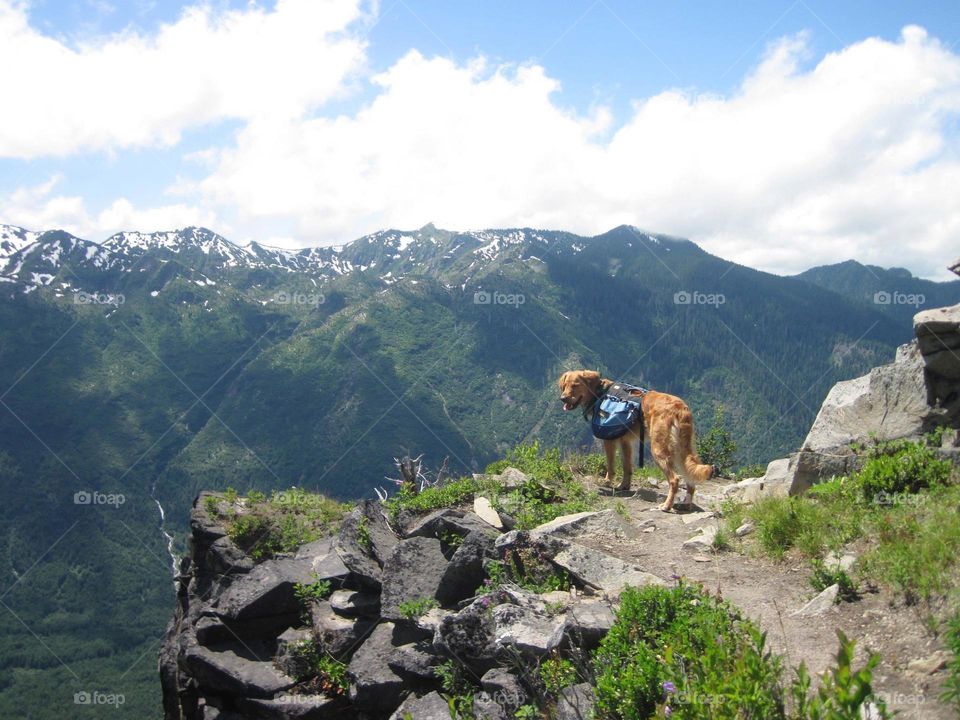 Mountains, next to rivers, everything