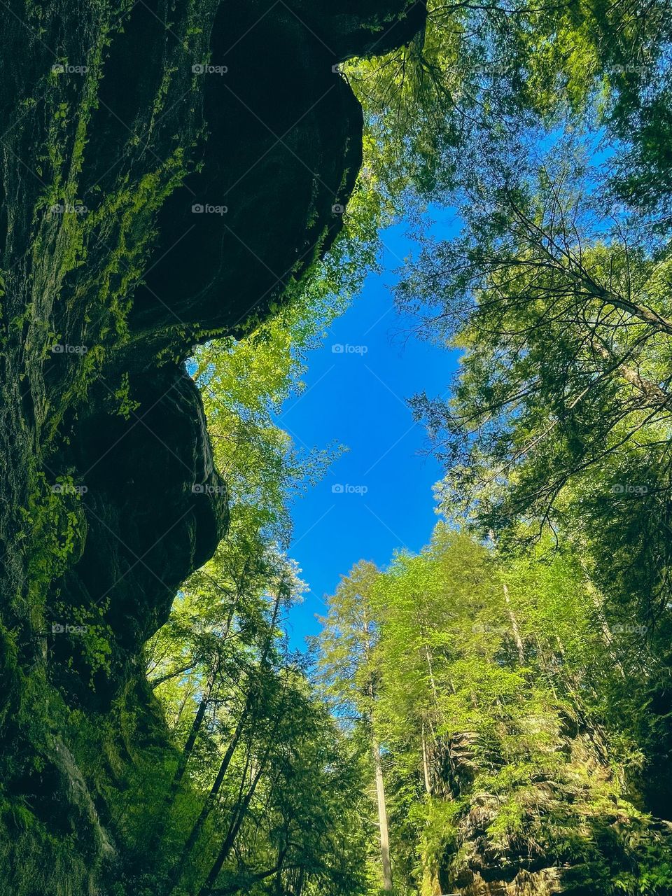 Big rock with full green and an open sky, just like a painting