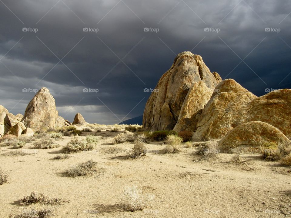 Flash Flood Warnings