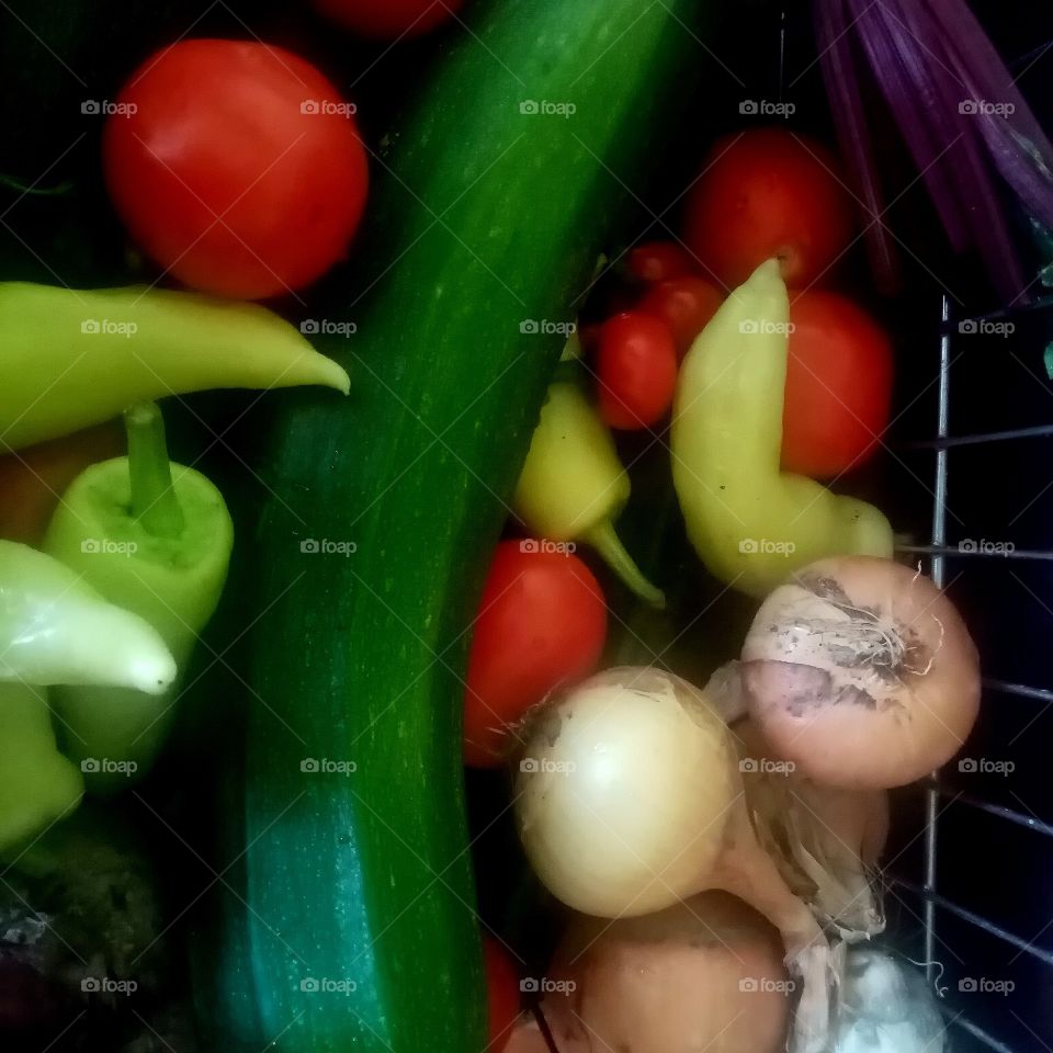 End of summer in Garden