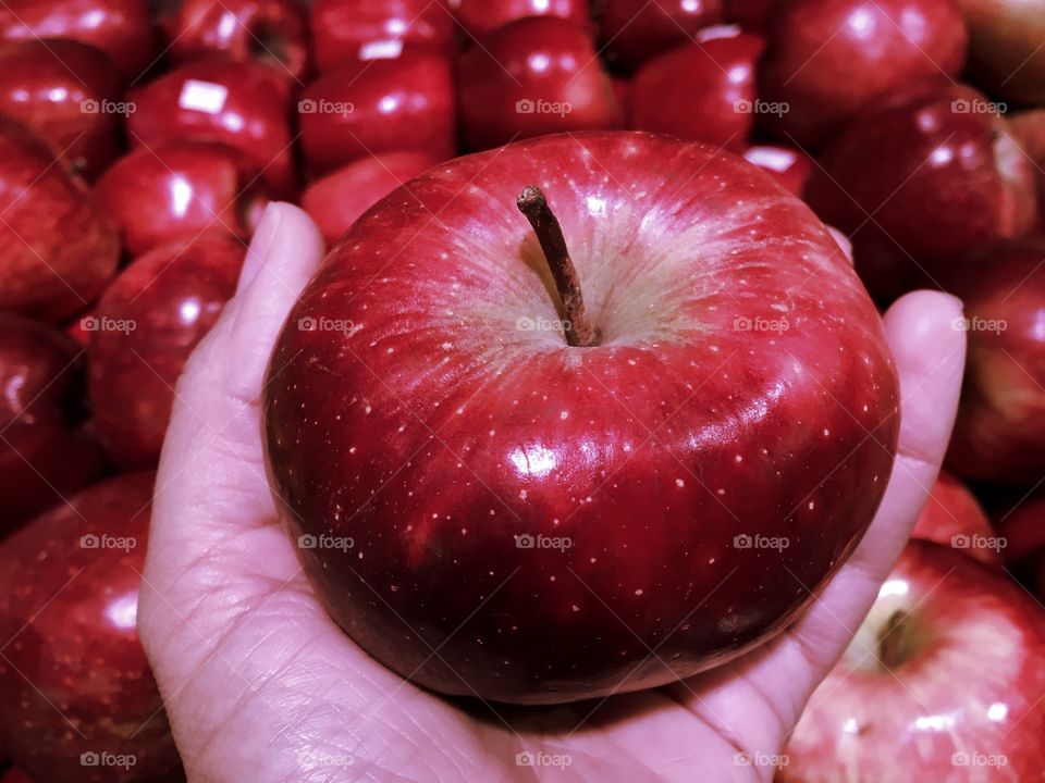 Red Apple on human's hand