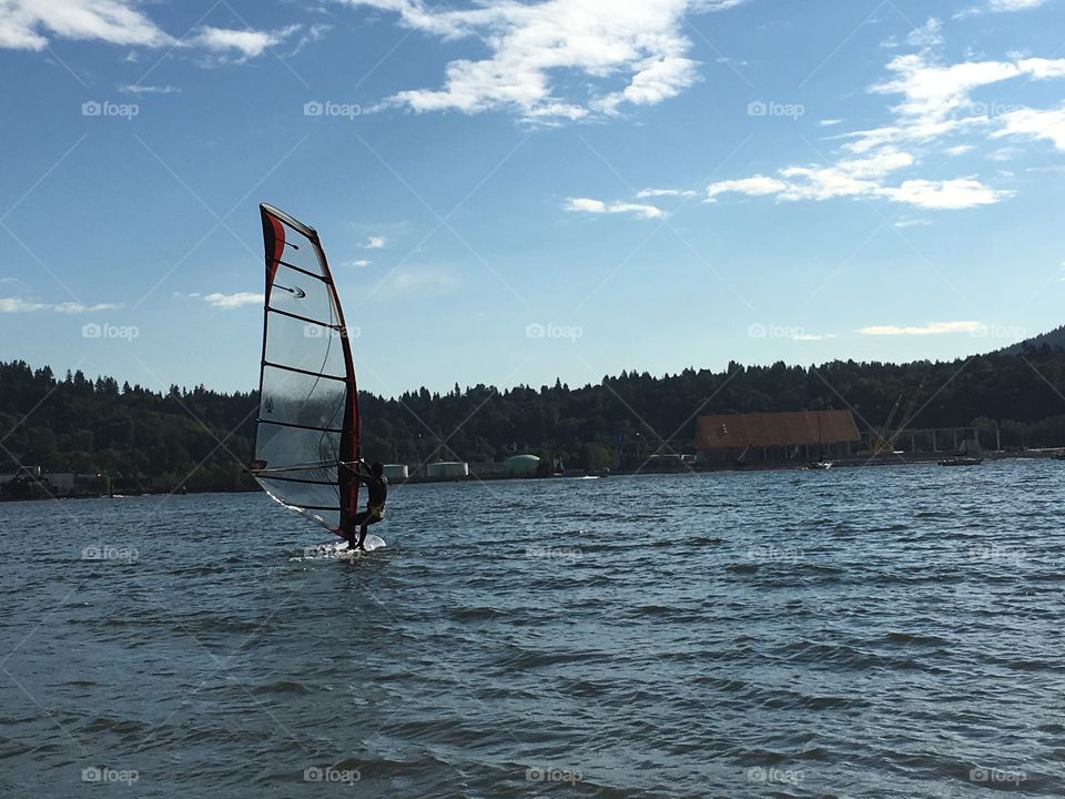 Man windsurfing in harbour