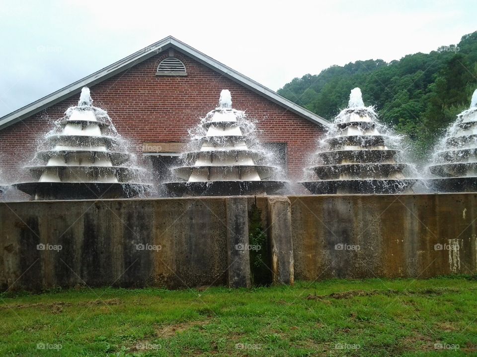 This and a candy ring. Fish hatchery in Virginia.