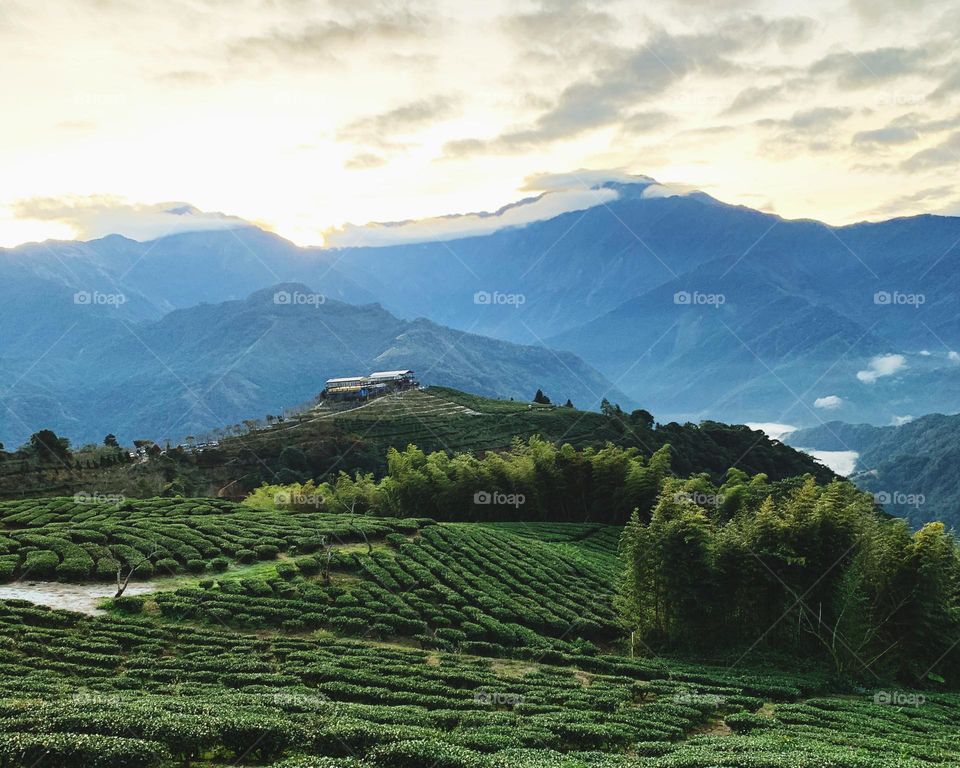 Terraced field in the sunrise, Taiwan 