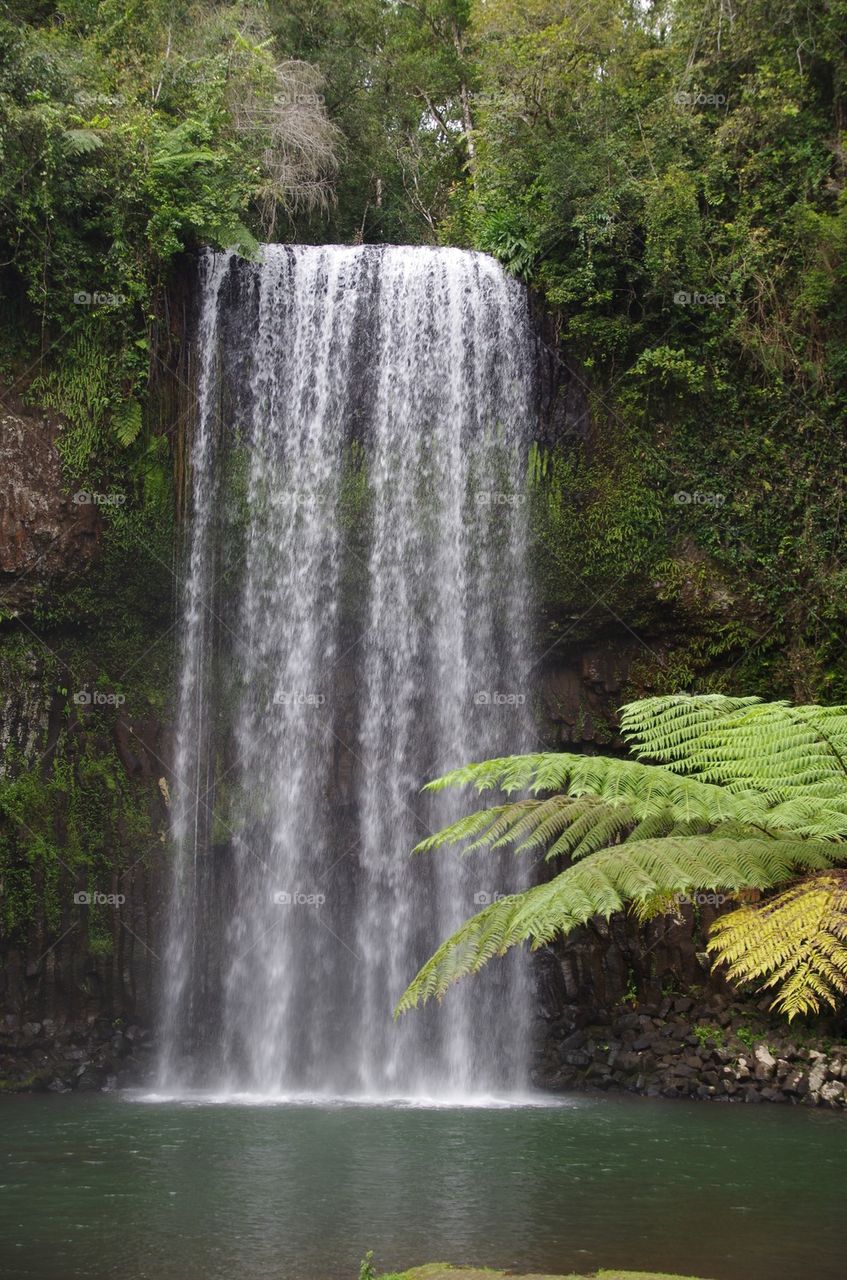 Millaa Millaa Falls Queensland