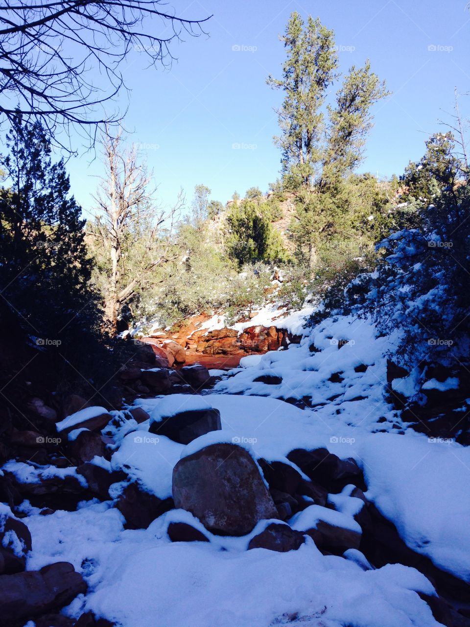 Brightness in the snow 