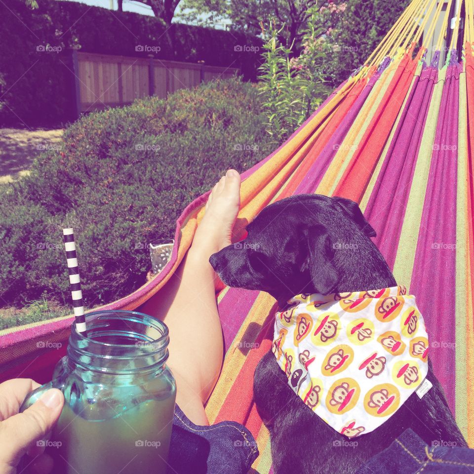 Nothing better than a hammock, a drink and your best friend in a hot summer day!  