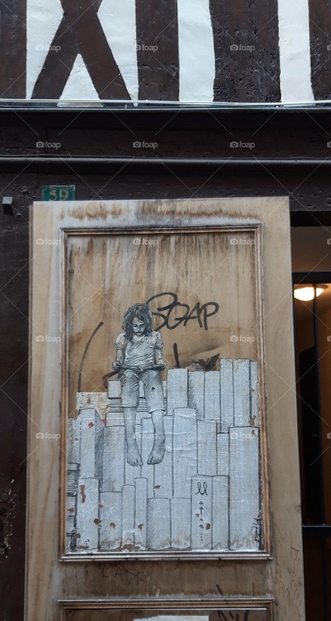streetart on a door in Rouen