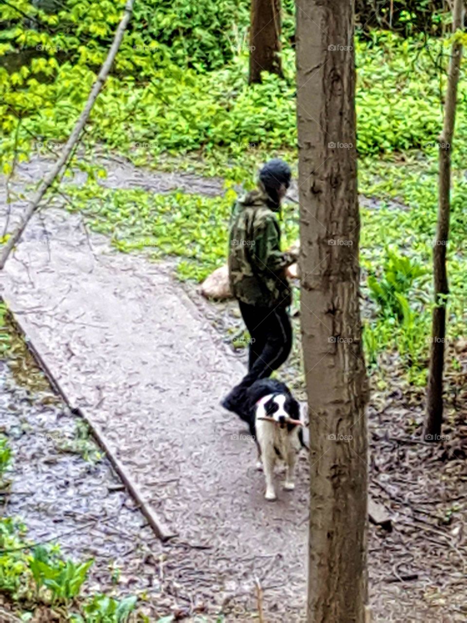Man with Dog at Park