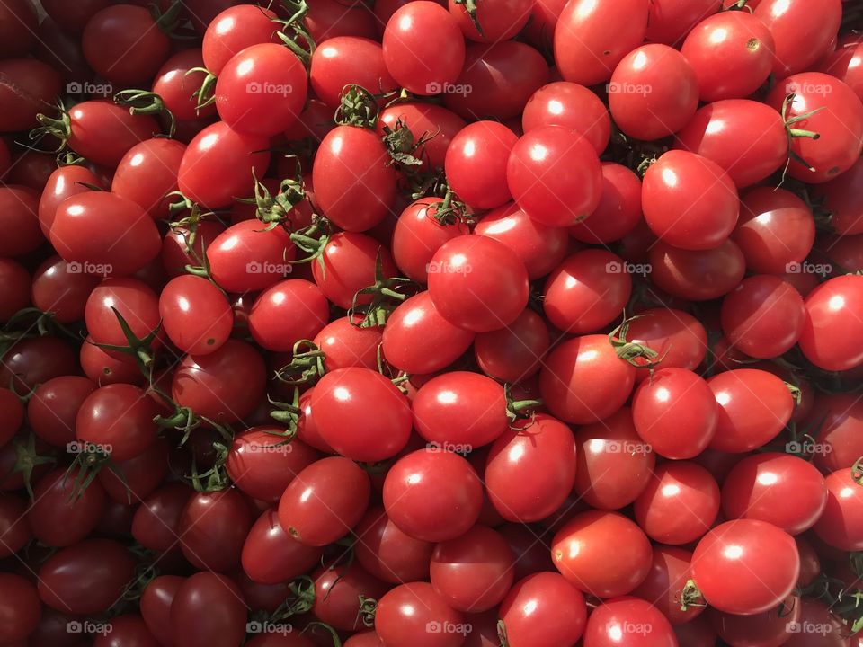 Tomatoes 