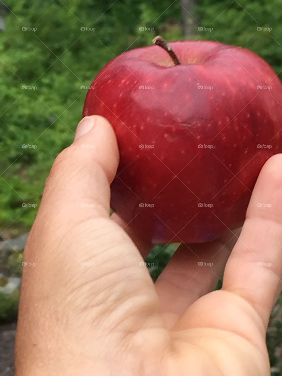 Apple a day keeps the doctor away 