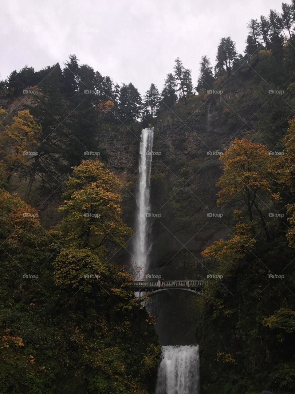 Beautiful Multnomah Falls