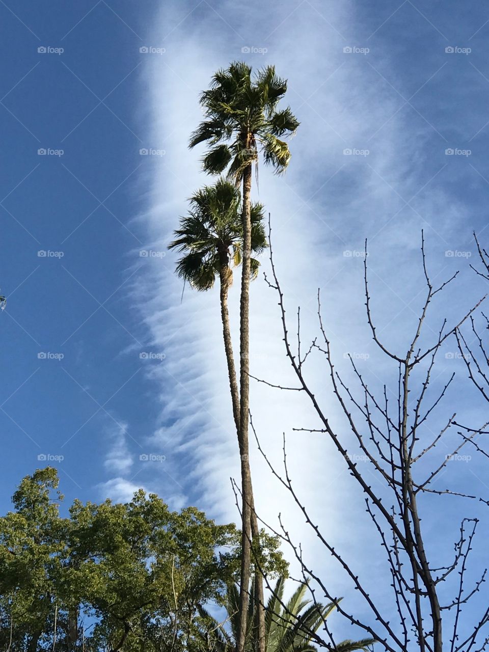 Dancing with the clouds