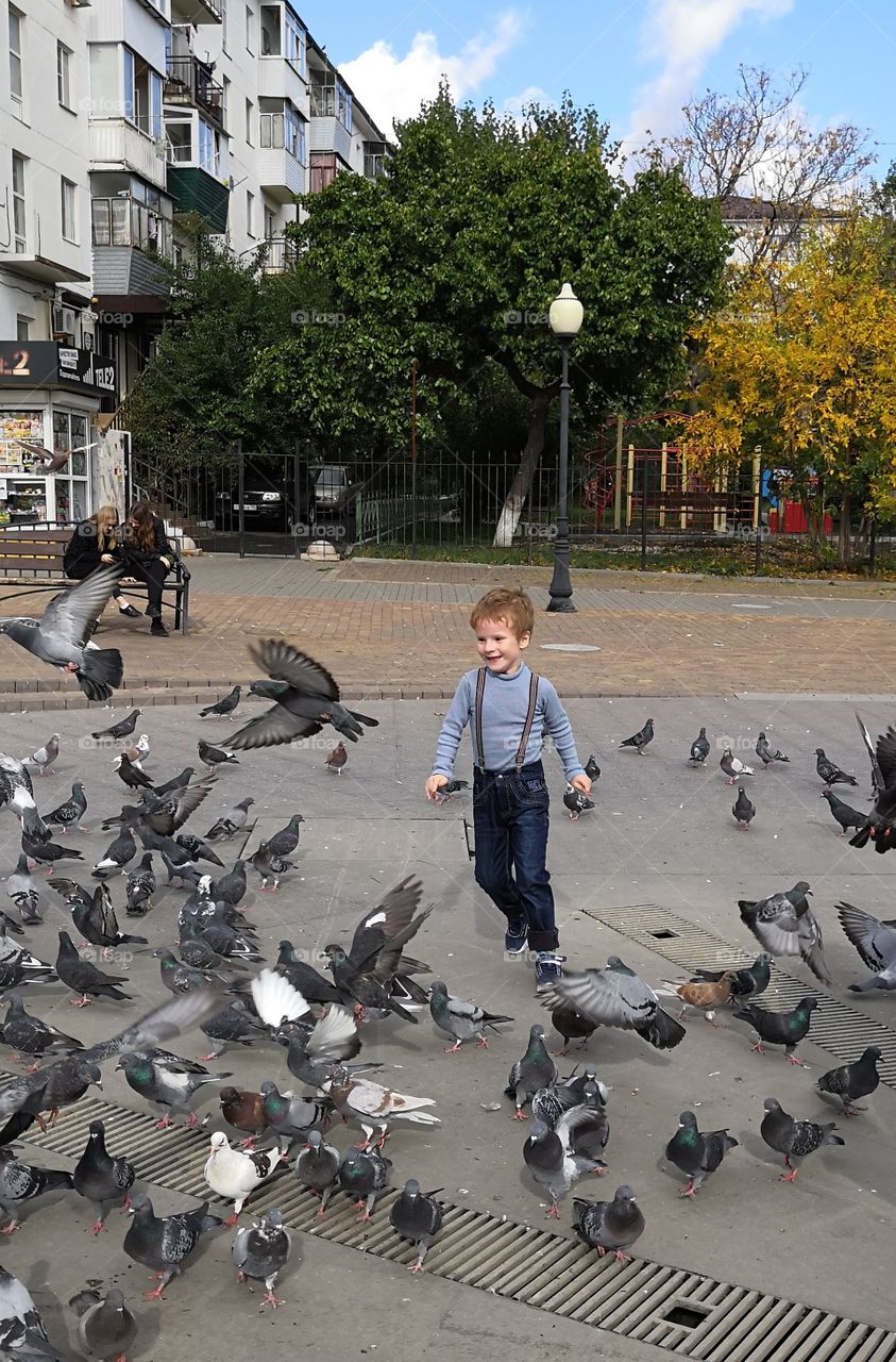 Child and birds