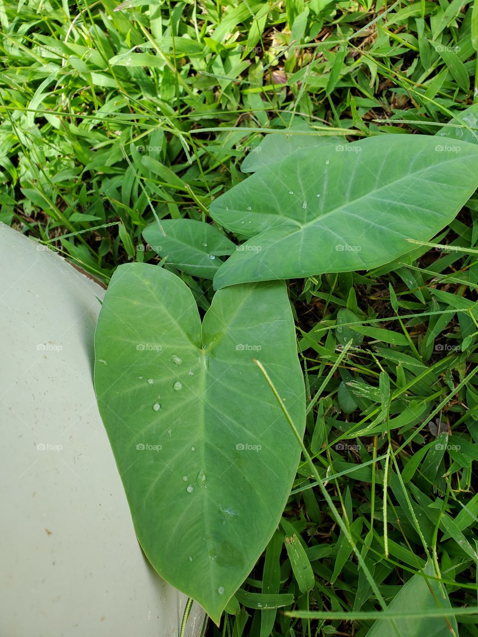 wonderful mother nature