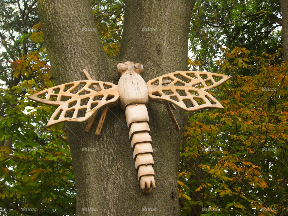 Giant wooden dragonfly