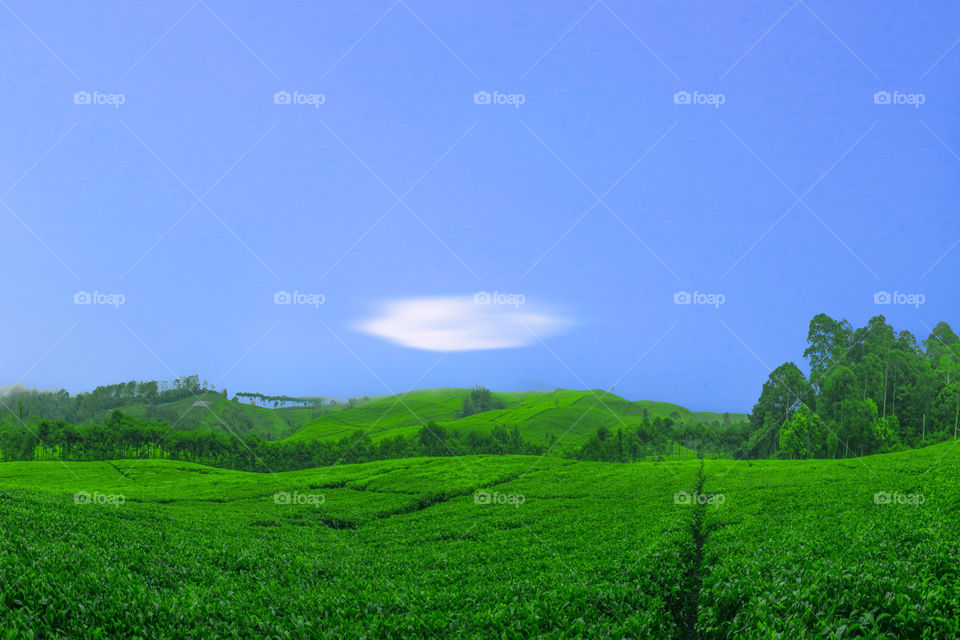lonely clouds with blue sky at tea fields indonesia